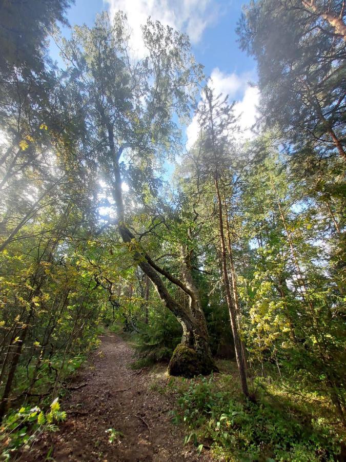 Ainola Pansiyon Hämeenlinna Dış mekan fotoğraf